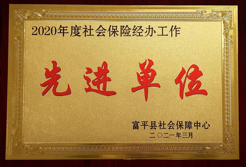 富平公司榮獲富平縣“社會保險工作先進單位”