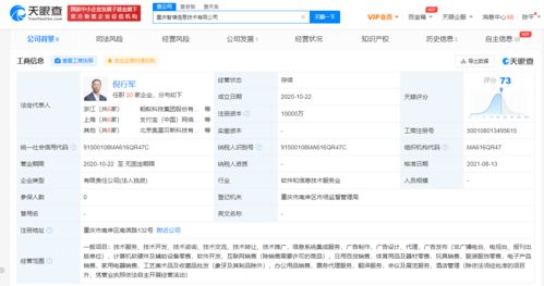 螞蟻科技關聯公司注冊資本大幅增資，聚焦信息系統集成領域